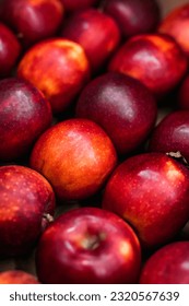 Red shiny big apples lie in a row. - Shutterstock ID 2320567639