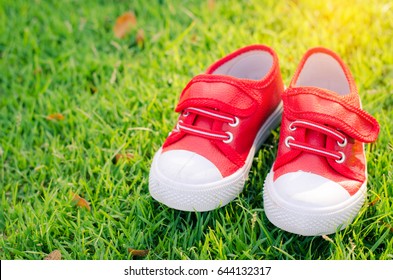 red shoes for children on green grass floor