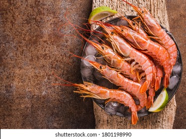 Red Shrimps Gourmet Wild Ocean Jumbo Shrimps Background Copy Space.