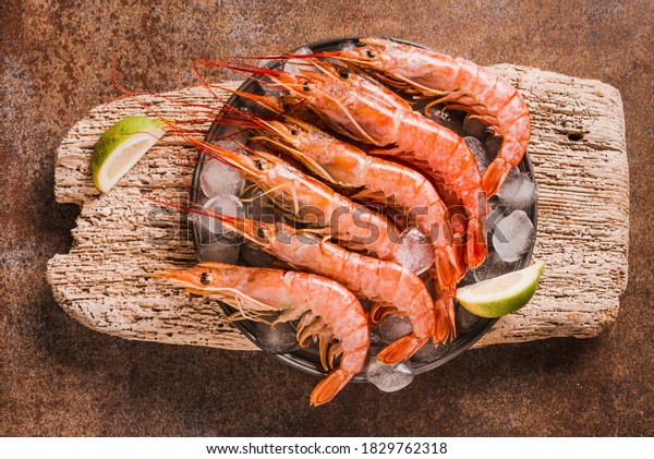 Red shrimps\
gourmet wild ocean jumbo\
shrimps.