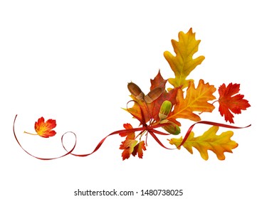 Red silk ribbon bow with autumn colorful leaves and acorns isolated on white background. Top view. Flat lay.  - Powered by Shutterstock