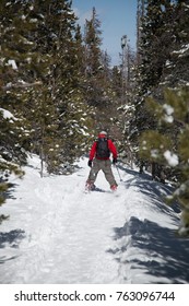 Red Skier In Rocky Mountain National Park Covered With Winter Snow