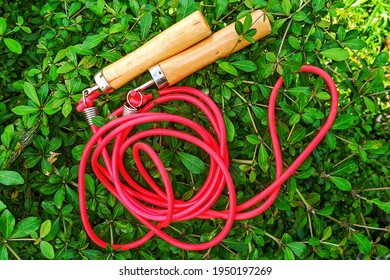 red skipping rope with wooden handles isolated on nature with clipping path.