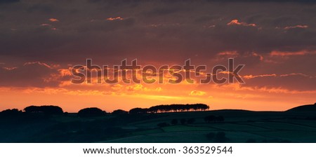 Red Sky