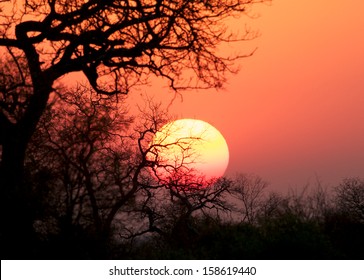 Red Sky African Sunset