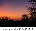 Red sky with clouds with tree branches horizontal image