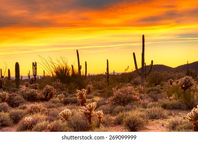 Red Sky Over Sonoran Desert, At Sunset.