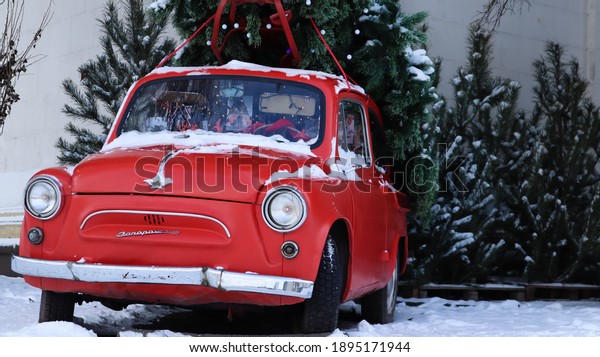 Red small retro car Zaporozhets with a Christmas\
tree fir tied to the roof. Fresh cut natural spruce for Christmas\
holiday decoration, family celebration symbol. Ukraine, Kiev -\
January 16, 2021