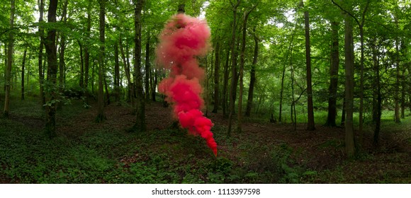 Red Smoke Grenade In Forest