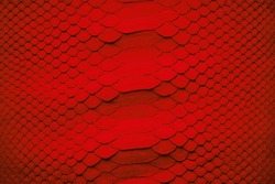 Red Snake Skin Background, Python Leather Texture