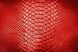 Red Snake Skin Texture Pattern Can See The Surface Details Use For Background