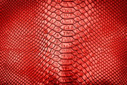 Red Snake Skin Texture Pattern Can See The Surface Details Use For Background
