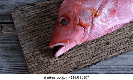 Red Snapper. Close view on Fresh Raw Red Snapper Fish on wooden board. Lutjanus campechanus. In Indoneasia also known as Kakap Merah. Fresh Seafood which rich of protein. Export commodity. Indonesia.