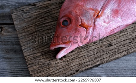 Red Snapper. Close view on Fresh Raw Red Snapper Fish on wooden board. Lutjanus campechanus. In Indoneasia also known as Kakap Merah. Fresh Seafood which rich of protein. Export commodity. Indonesia.