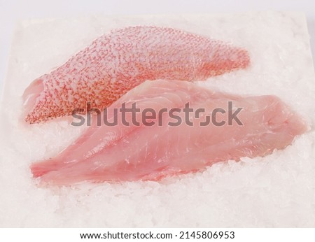 RED SNAPPER FILLET - FISH - FILLET - FOOD