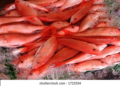 Red Snapper Fish In Market