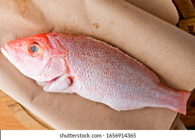 Red Snapper. Fresh Caught Red Snapper Fish Photographed On Brown Butcher Paper.