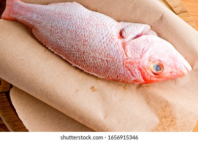 Red Snapper. Fresh Caught Red Snapper Fish Photographed On Brown Butcher Paper.