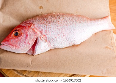 Red Snapper. Fresh Caught Red Snapper Fish Photographed On Brown Butcher Paper.