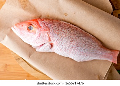 Red Snapper. Fresh Caught Red Snapper Fish Photographed On Brown Butcher Paper.