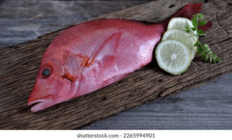 Red Snapper. Fresh Raw Red Snapper Fish with slice of limes and curry leaves on wooden board. Lutjanus campechanus. In Indoneasia also known as Kakap Merah. Fresh Seafood which rich of protein. - Shutterstock ID 2265994901