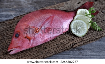 Red Snapper. Fresh Raw Red Snapper Fish with slice of limes and curry leaves on wooden board. Lutjanus campechanus. In Indoneasia also known as Kakap Merah. Fresh Seafood which rich of protein.