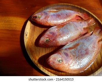 Red Snapper, On A Brown Plate, On A Brown Wooden Table, Ready To Be Fried Or Cooked Any Other Way