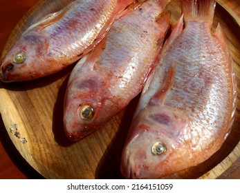 Red Snapper, On A Brown Plate, On A Brown Wooden Table, Ready To Be Fried Or Cooked Any Other Way