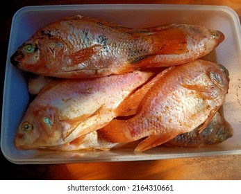 Red Snapper, On A Brown Plate, On A Brown Wooden Table, Ready To Be Fried Or Cooked Any Other Way