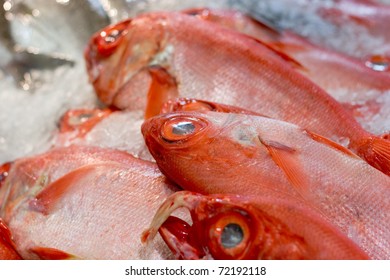 Red snapper on a display at Auckland fish market