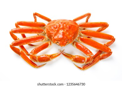 Red Snow Crab