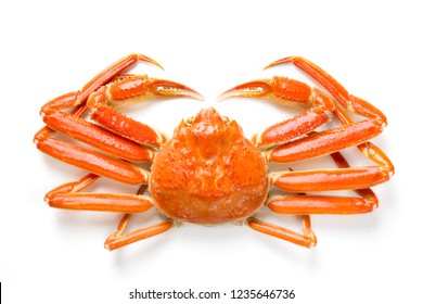 Red Snow Crab