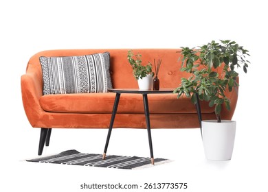 Red sofa with table and plants on white background