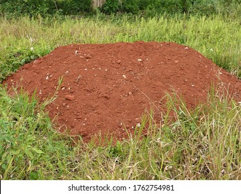 Red Soil Containing Alumina Or Bauxite, Mandeville, Jamaica.