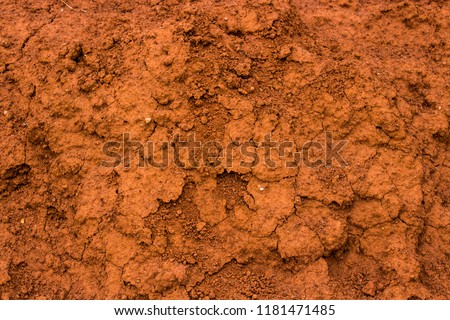 red soil earth texture background for plants india realistic closeup background