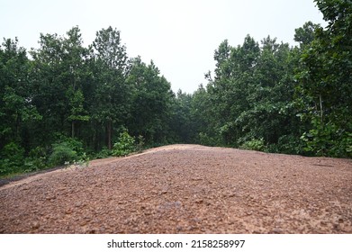 red soil kacha road going into dense and deep forest of Garhbetha jungle, in Midnapur or Medinipur of West Bengal in India. In to the deep forest. - Shutterstock ID 2158258997