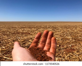 Red Soil At Post-harvest Corn Filed In A No Tillage System In Brazil. 