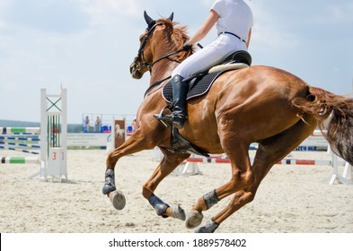 Red sports horse moving at a gallop on the outdoor equestrian show jumping competitions at the summer - Powered by Shutterstock