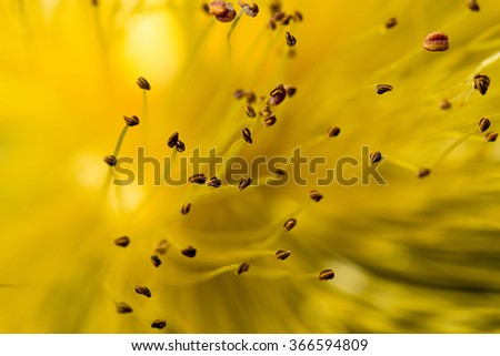 Similar – Image, Stock Photo honey yellow Wellness Life