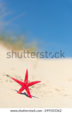 Similar – Image, Stock Photo Sandy beach with toy shovel and starfish