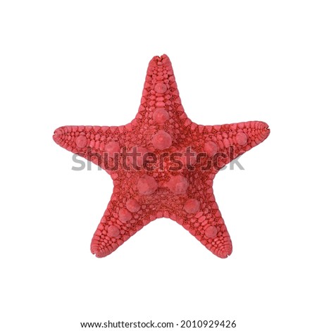 Red starfish isolate on a white background. Top view.