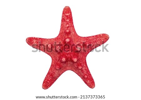 A red starfish isolated on a white background.