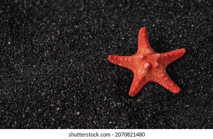 Red Starfish On Black Sand Close Up