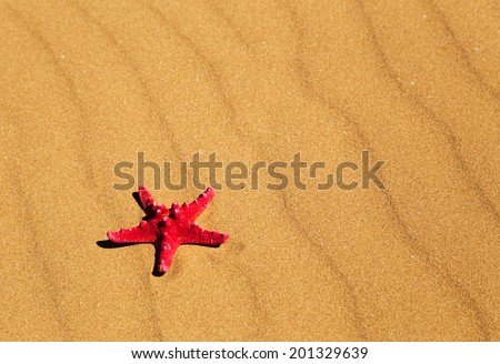 Similar – Sandstrand mit Spiezeugschaufel und Seestern