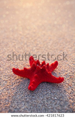 Similar – Sandstrand mit Spiezeugschaufel und Seestern