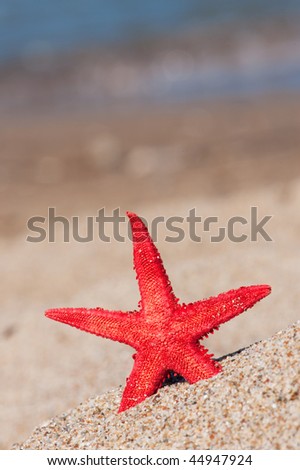 Similar – Image, Stock Photo Sandy beach with toy shovel and starfish