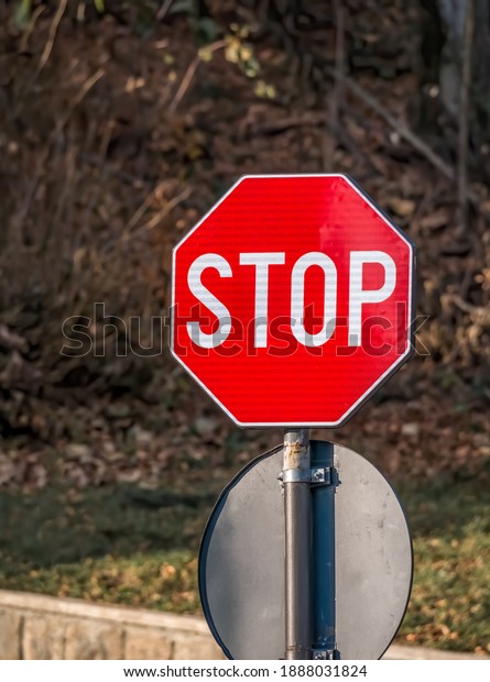 Red stop road traffic\
sign.