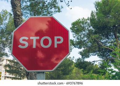 red stop sign with trees in the background