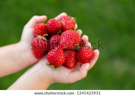 Similar – Image, Stock Photo strawberry season Food