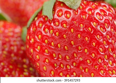 Red Strawbery Macro